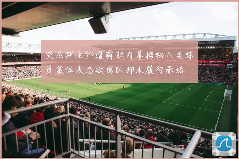 突尼斯主帅遭解职内幕揭秘八名球员集体表态欲离队却未履行承诺
